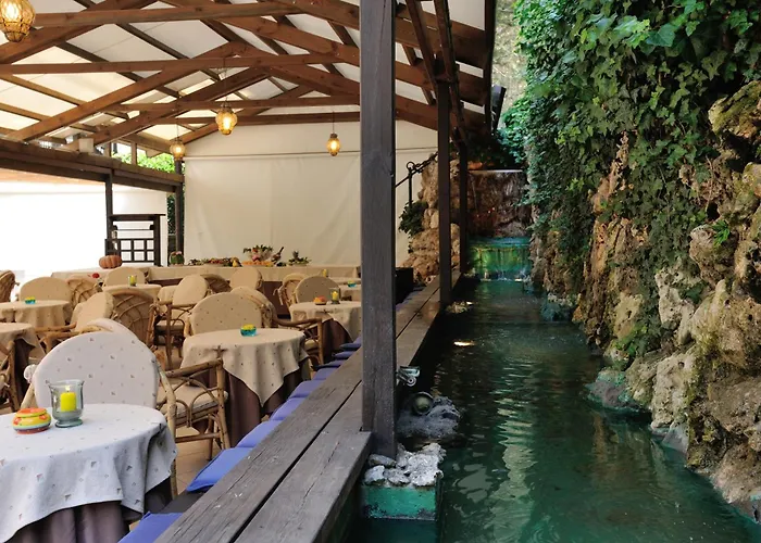 Hotel Salus