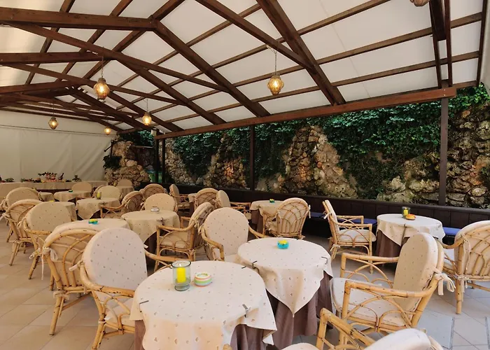 Hotel Salus